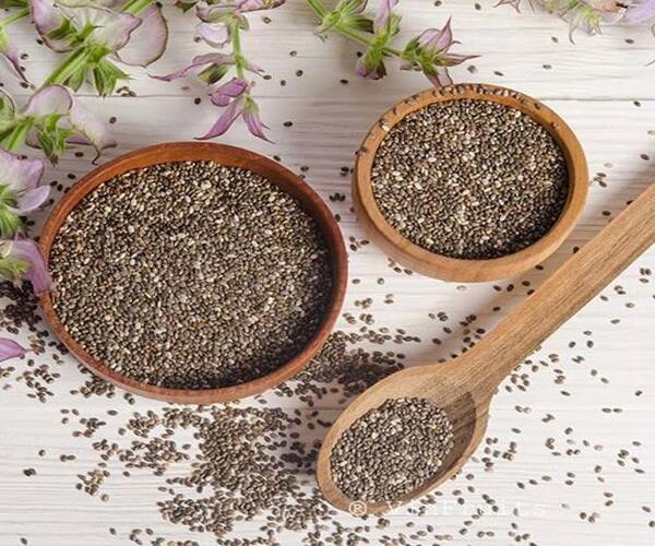 Semente de Chia, usada por seus benefícios, nutrientes e propriedades medicinais que colaboram para uma ótima saúde e bem-estar