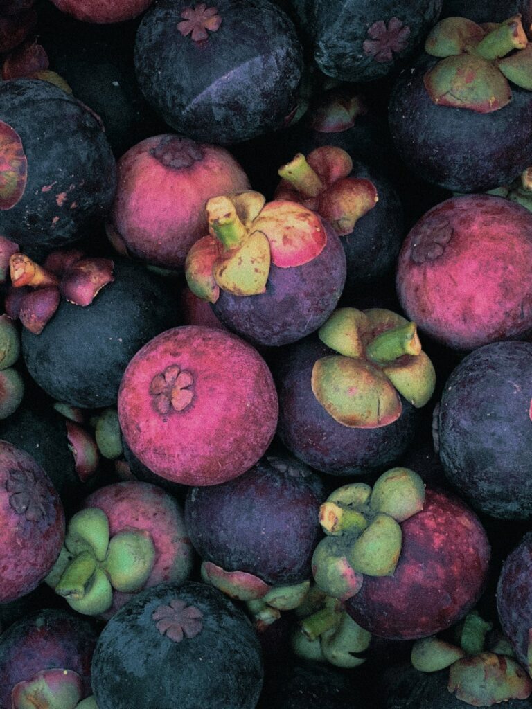 O mangostão é uma fruta rica em nutrientes essenciais para o bom funcionamento do organismo. É uma excelente fonte de vitamina C, que fortalece o sistema imunológico e ajuda na absorção de ferro